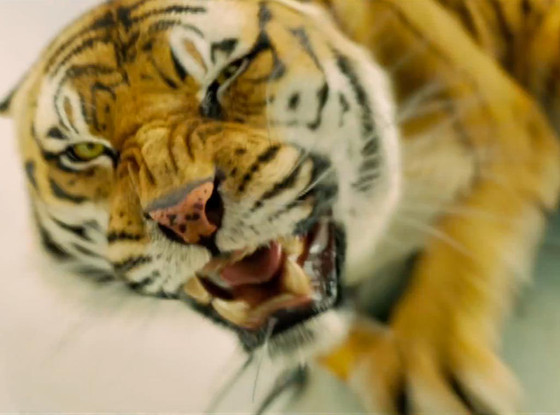 Life of Pi Life of Pi